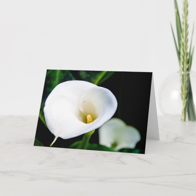 Calla Lily Greeting Card (Front)