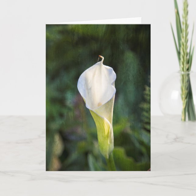 Calla lily greeting card (Front)