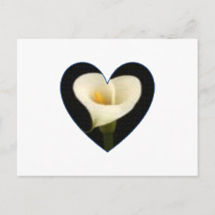 Calla Lily Heart Postcard