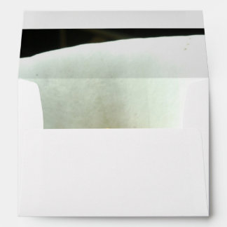 Calla Lily in Black Envelopes