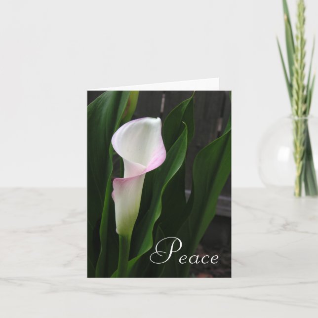Calla Lily Note Cards (Front)