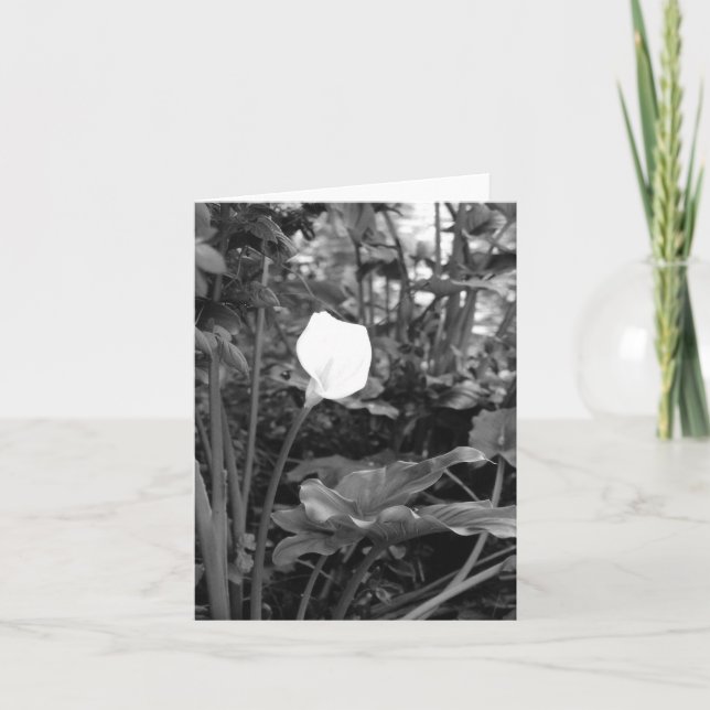 Calla Lily notecards (Front)