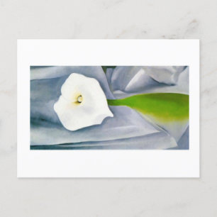 Calla Lily on Grey, Georgia O'Keeffe  Postcard