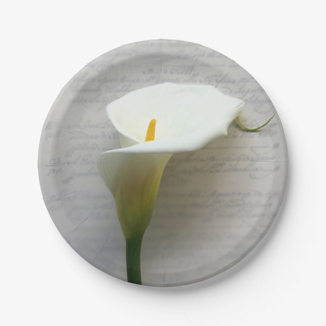 Calla lily on old script paper plate (Front)