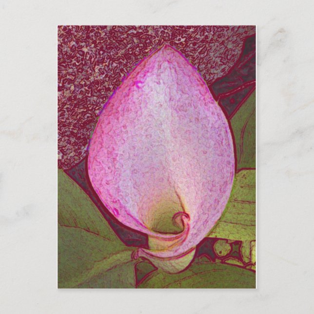 Calla Lily Postcard (Front)