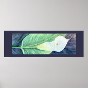 Calla Lily Poster