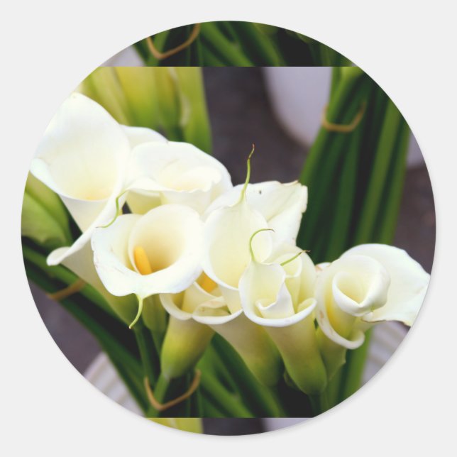 calla lily sticker (Front)