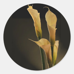 Calla Lily sticker