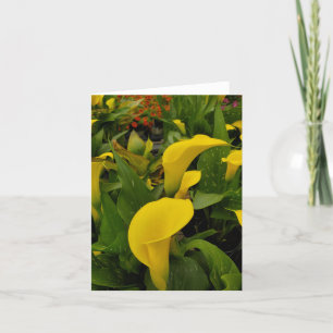 Calla lily thank you card