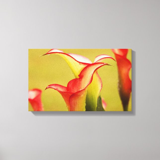 Calla Lily Wall Art (Front)