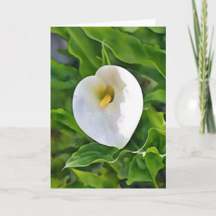 Calla Lily White Flower Garden Art Note Card