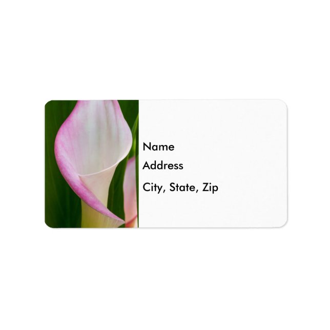 Calla Pano Label (Front)