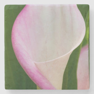 Calla Pano Stone Coaster