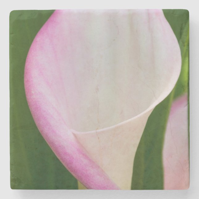 Calla Pano Stone Coaster (Front)