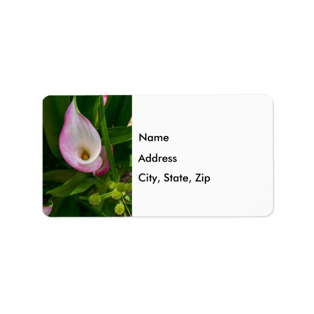 Calla Roll Address Label (Front)