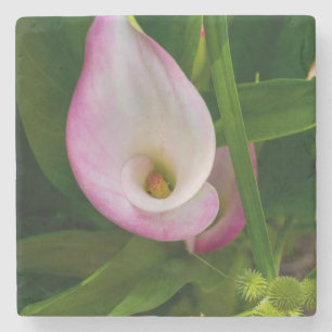 Calla Roll Stone Coaster
