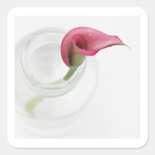 Calla Square Sticker