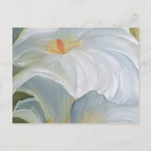 callas IV Postcard