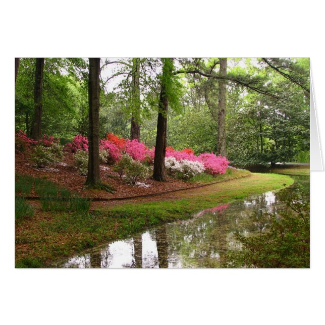 Callaway Stream (Front Horizontal)