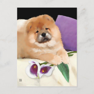 CALLIA TheARTdog chow postcard