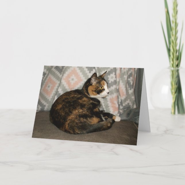 Callie Cat on Sofa Card (Front)