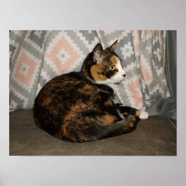 Callie Cat on Sofa Poster (Front)
