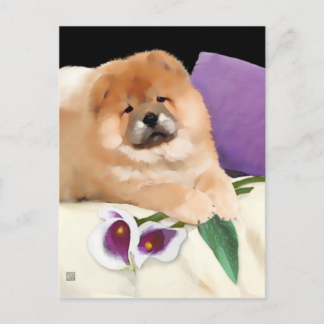 CALLIE heARTdog chow postcard (Front)