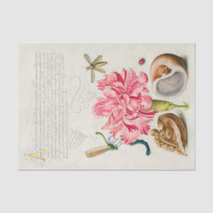 Calligraphy (Carnation, Insects & Marine Mollusk)  Tissue Paper