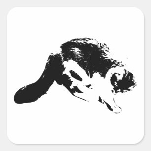 Calligraphy Cat, Swoop & Whiskers Square Sticker