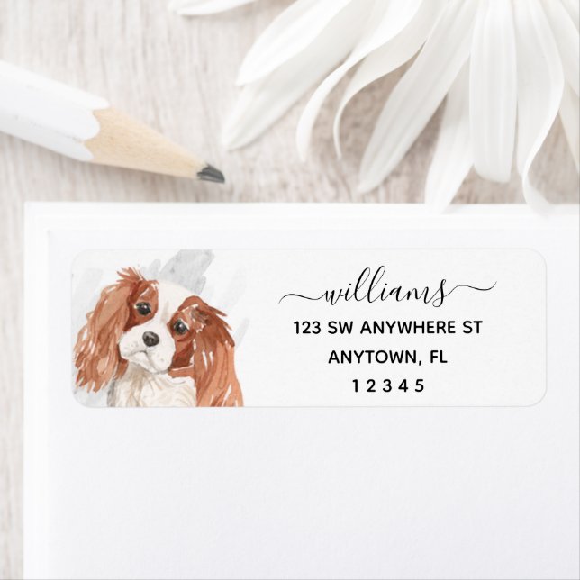 Calligraphy Cavalier King Charles Spaniel Dog (Insitu)