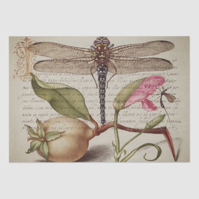 Calligraphy (Dragonfly, Carnation & Pear)  Tissue  Tissue Paper (Front)
