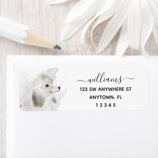 Calligraphy White Poodle Dog Return Address (Insitu)