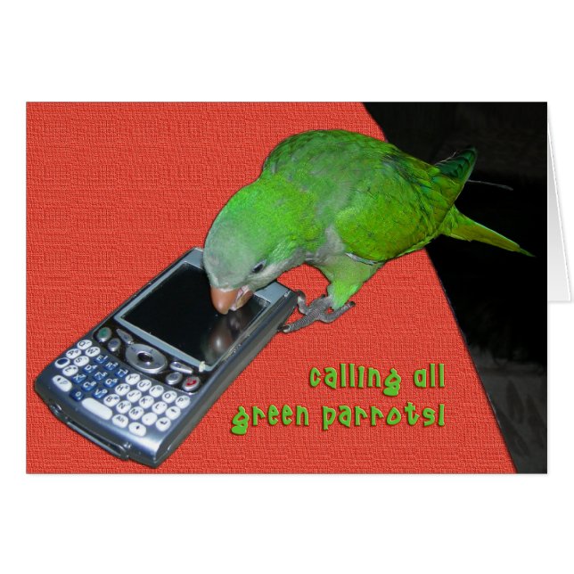 Calling All Green Parrot (Front Horizontal)