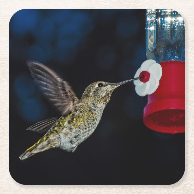 Calliope Hummingbird at a feeder Drink Coaster (Front)