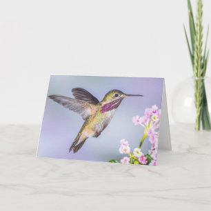Calliope Hummingbird Flying in Purple Sympathy Card