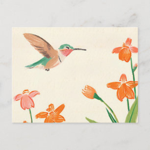 Calliope Hummingbird in flight drawing Postcard