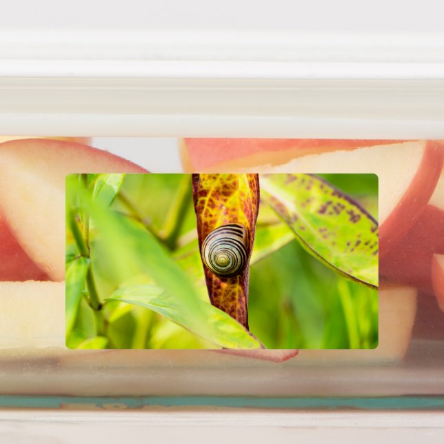 calm attachment (Affixed)