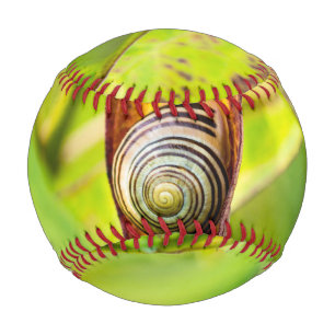 calm attachment baseball