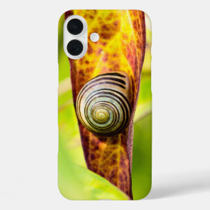 calm attachment Case-Mate iPhone case