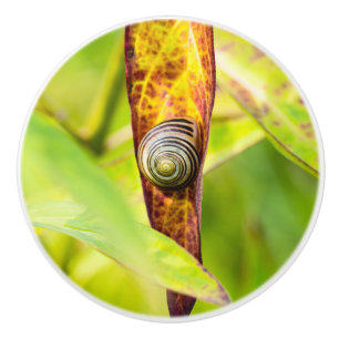calm attachment ceramic knob