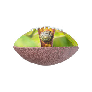 calm attachment football