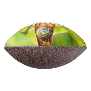 calm attachment football