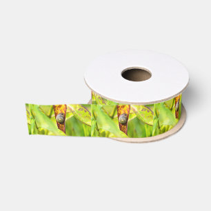 calm attachment grosgrain ribbon