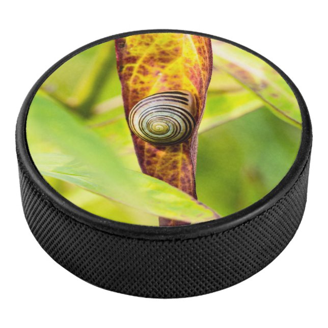 calm attachment hockey puck (3/4)
