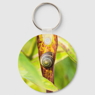 calm attachment key ring