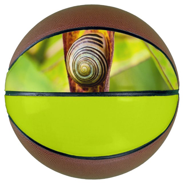 calm attachment mini basketball (Front)