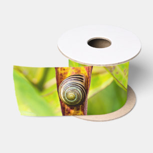 calm attachment satin ribbon