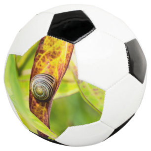 calm attachment soccer ball