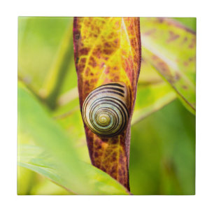 calm attachment tile