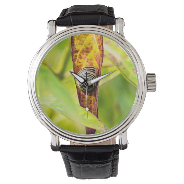 calm attachment watch (Front)